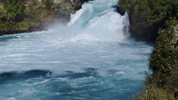 紐西蘭奧克蘭+愛歌頓農場-羅托魯瓦【中文專車-愜意舒適】