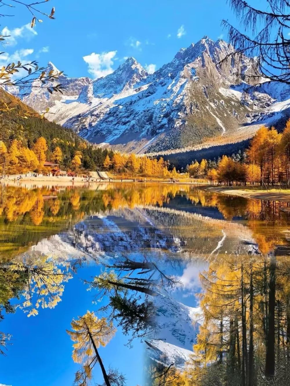 Chengdu Li-Xiao Lu · Campeggio senza pernottamento[Escursione a piedi nella foresta + circondati da montagne innevate + splendidi colori autunnali + tour giornaliero puro divertimento + andata e ritorno da Chengdu]