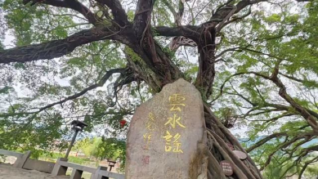 【泉州出發】南靖雲水謠景區+永定高北土樓雙景區一日遊私人導覽