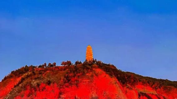 寶塔山+革命紀念館+王家坪舊址+楊家嶺舊址+棗園舊址一日遊