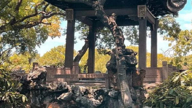Uitleg door gids ter plaatse in de Canglang-paviljoen in Suzhou|De Tuinfilosofie van Suzhou: Het Waterschilderij van de Kluizenaar (Canglang Paviljoen)