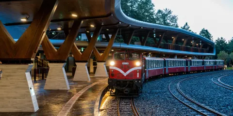 台灣 阿里山森林鐵道本線車票預約