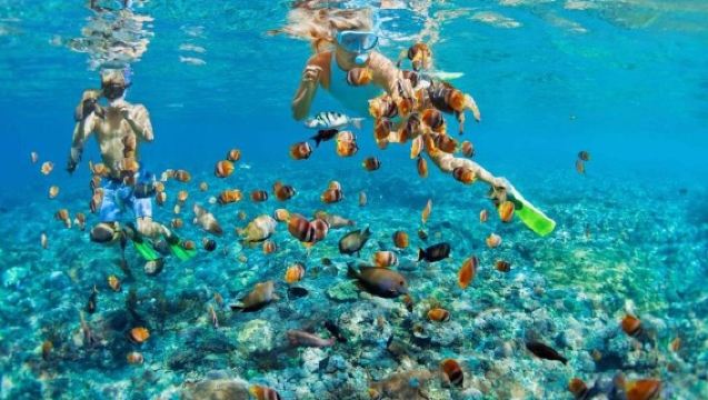 Bali Lặn Biển Blue Lagoon với Dịch Vụ Trung Chuyển Riêng & Bữa Trưa