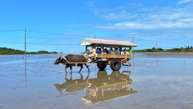 กิจกรรม SUP หรือแคนูและท่องเที่ยวชมเกาะอิริโอโมเตะ โอกินาว่า และเกาะยุบุจิมะ