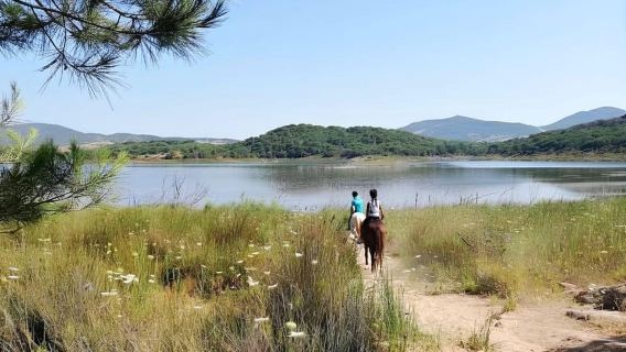 Alghero: Lake Baratz Guided Horseback Ride
