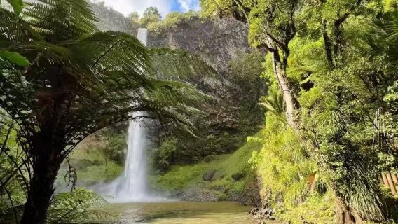 新娘面紗瀑布+TeToto海岸步道包車一日遊【飯店接駁】