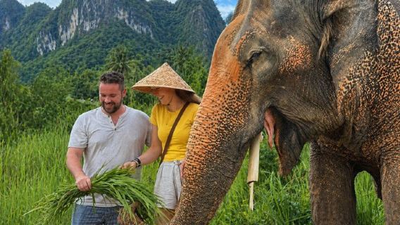 Elephant Nature Care, the largest elephant sanctuary on Koh Samui