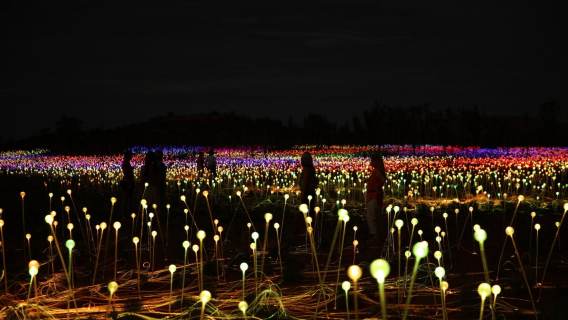 Ужин под звездами в Улуру, Северная территория - Field of Light [Трех-блюдный ужин с буш-фудом + выставка светового искусства «Поле звездного света»]