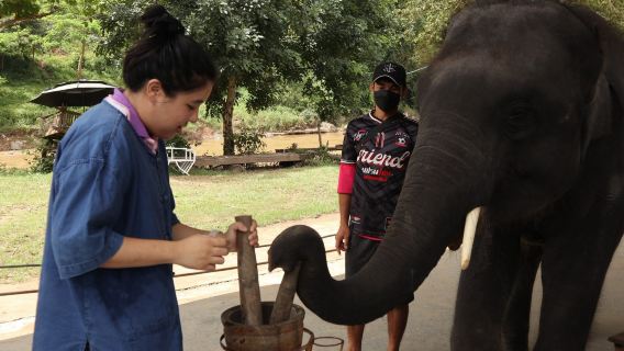 Chokchai Elephant Camp Thailand + Angel Waterfall Park + Elephant POOPOOPAPER Park Chiang Mai 1-day tour