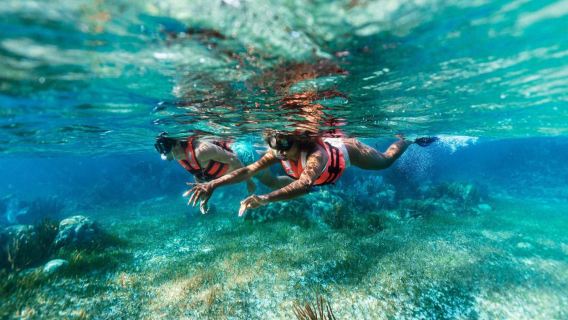 5 Elements: ATV Adventure + Horseback Riding + Cenote Tour + Snorkeling Adventuring - in 2 days
