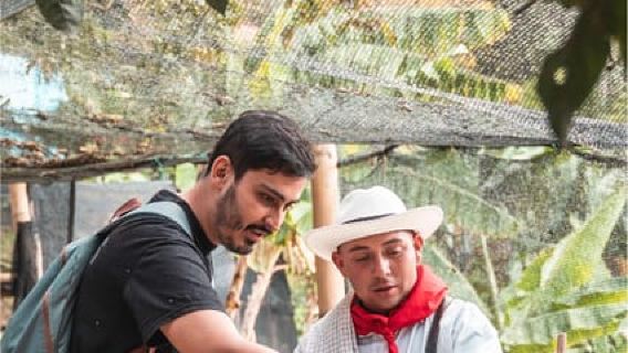 Medellin: Coffee Farm and Barista Workshop Experience Tour