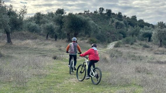 Berat: Electric Bike Tour with Lunch