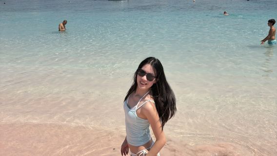 رحلة يومية بحرية إلى 6 معالم سياحية تقليدية في كومودو: جزيرة بادار + الشاطئ الوردي + تنين كومودو