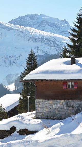 From Zurich: Alpine Winter Horse Carriage Ride & Fondue Private Tour