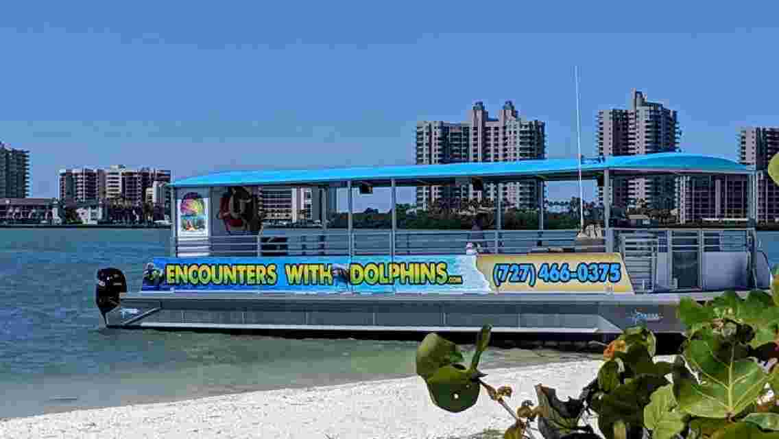 Clearwater Encounters with Dolphins Tour