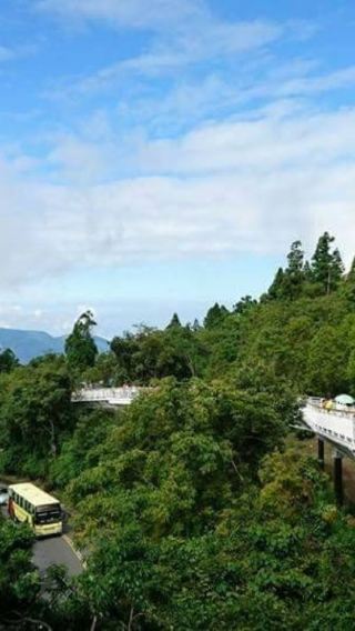 台灣阿里山國家風景區+日月潭+清境農場日遊
