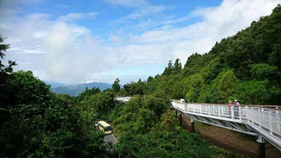 台灣阿里山國家風景區+日月潭+清境農場日遊（三＊天兩＊晚）