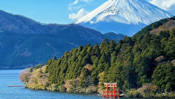 Hakone Ropeway Owakudani Lake Ashi Enoshima Day Tour [Hot]