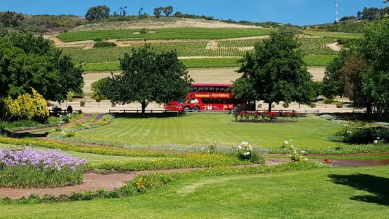 Paarl, Franschhoek, Stellenbosch Region Explorer Wine Tour