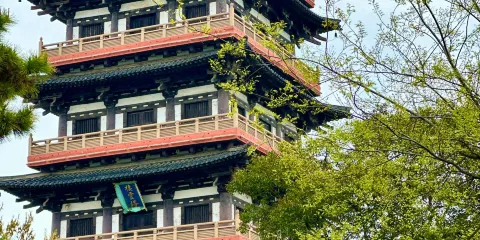 揚州瘦西湖+鄭板橋紀念館+東關街+個園一日遊-可中英文服務