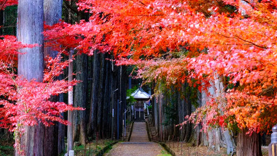Osaka
