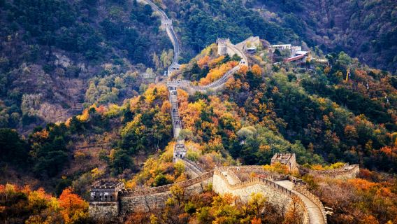 北京八達嶺長城+奧林匹克公園鳥巢水立方遊覽 提供英文司機服務