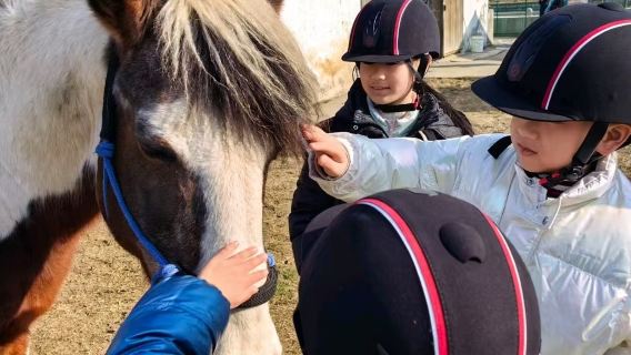 【蘇州英式PCA專業馬術課程】江蘇蘇州馬術俱樂部/騎馬體驗課/教練一對一教學