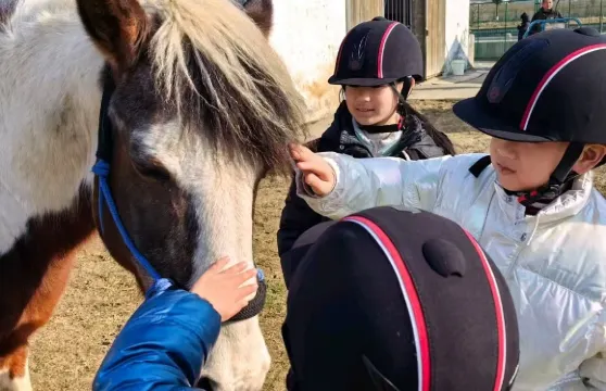 【蘇英式PCA專業馬術課程】江蘇蘇州馬術俱樂部/騎馬體驗課/教練一對一教學