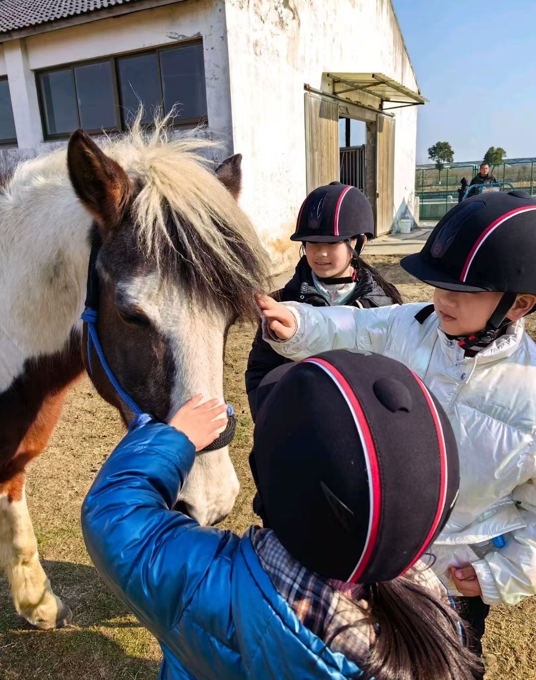 【蘇州英式PCA專業馬術課程】江蘇蘇州馬術俱樂部/騎馬體驗課/教練一對一教學
