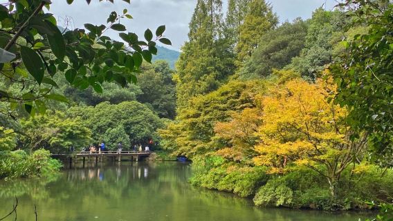 Hangzhou Longjing Village + A Bamboo-Lined Path Yunqi + Nine Creeks in the Misty Forest + Nine Creeks and Eighteen Gullies with Chinese/English guide | Private charter