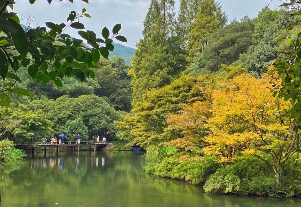 Hangzhou Longjing Village & A Bamboo – Lined Path Yunqi & Nine Creeks in the – Guided Tour