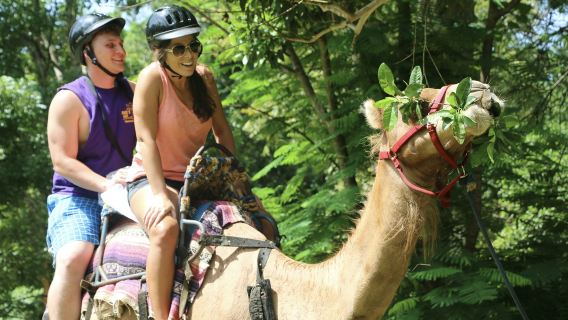 Yaaman Adventure Park: Full Hundred Package