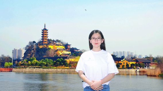 NanjingTravel Services