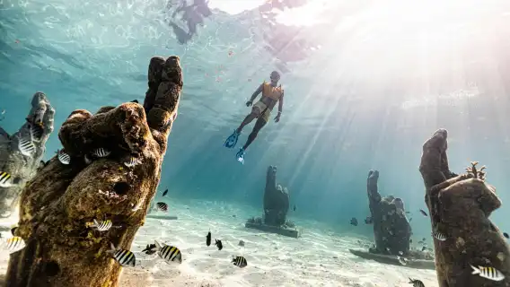 Snorkelling experience for non-swimmers in Cancun