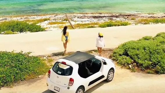 CozumelTours