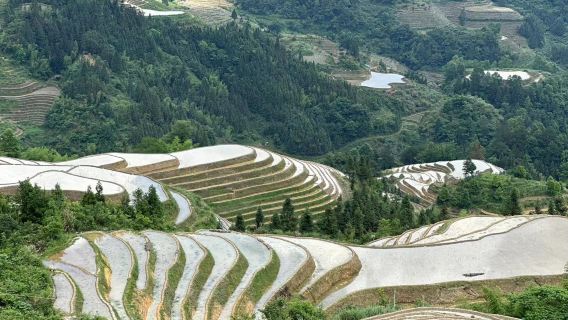 Yangshuo: Private Transfer to Longji Rice terraces and stops at Guilin center