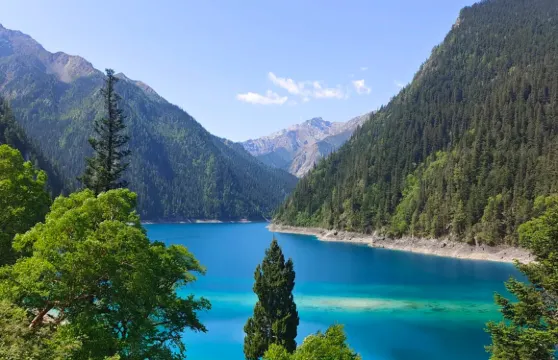 九寨溝風景區-黃龍九寨高鐵 接駁車【酒店上門接】 5-9座小車