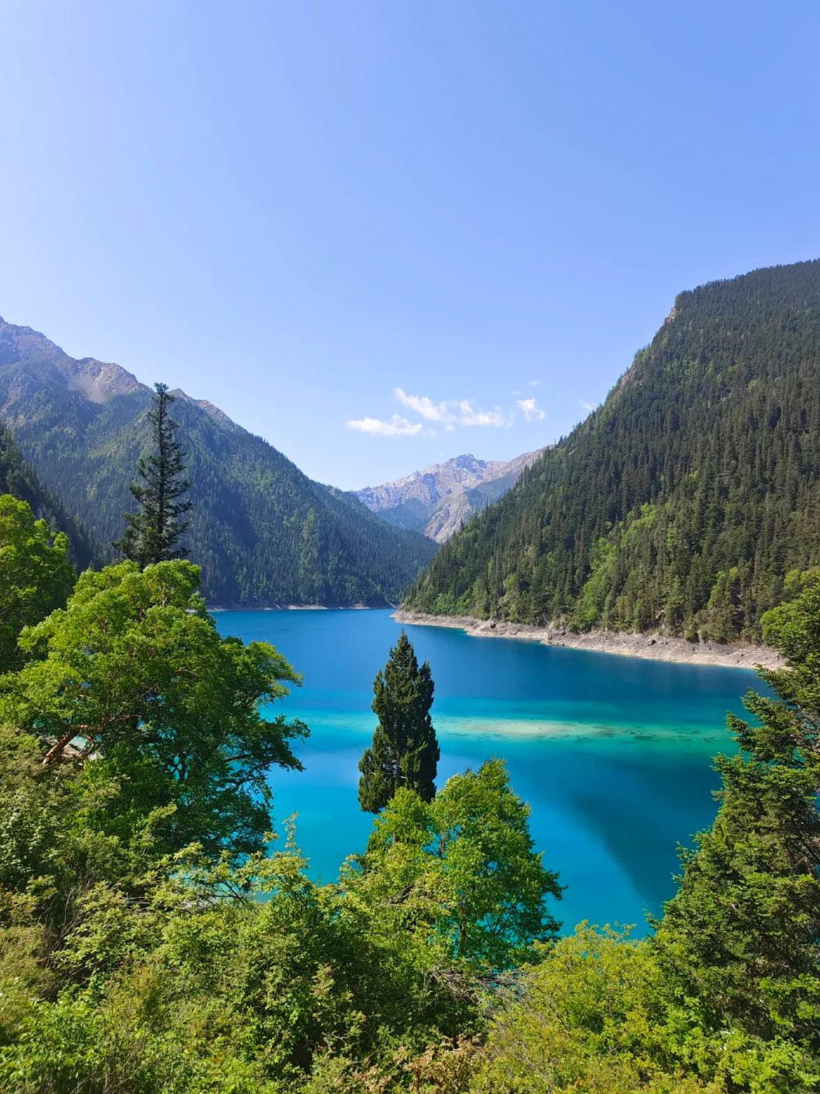 Servicios de traslado Jiuzhaigou-Huanglong Jiuzhai en tren de alta velocidad [recogida en el hotel] coche pequeño de 5-9 plazas