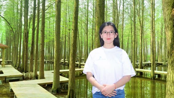 YangzhouTravel Services