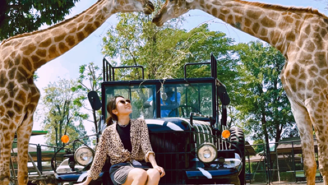 Lawatan sehari ke Zoo Singa Daerah Phra Nakhon Si Ayutthaya Bangkok + Wat Mahathat + Wat Chaiwatthanaram