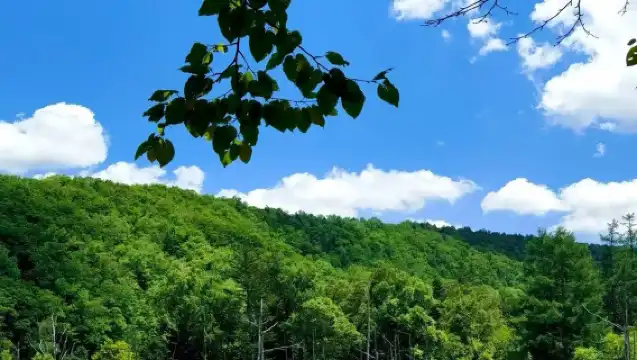 日本北海道美瑛+旭川+富良野【私家包車/中文司機/至尊服務】