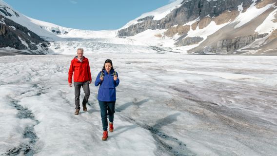 Columbia Icefield Discovery Centre: Ice Explorer Glacier Tour + Skywalk Entry