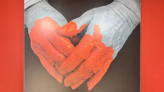 From Tenerife South: La Gomera Full-Day Trip with Transfers