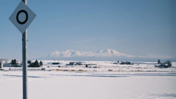 日本北海道旭川美瑛｜白鬚瀑布｜孤獨聖誕樹｜札幌來回｜中文專車