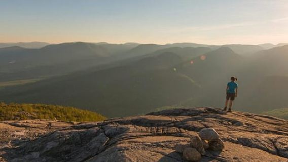 Thành phố Québec: Chuyến đi bộ có hướng dẫn viên Boreal Taiga