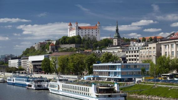 Братислава: пешеходная экскурсия с входным билетом в замок
