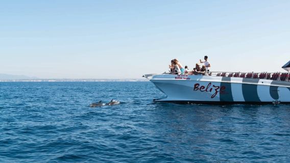 Desde Albufeira: Paseo en barco de 2,5 horas para ver delfines y cuevas