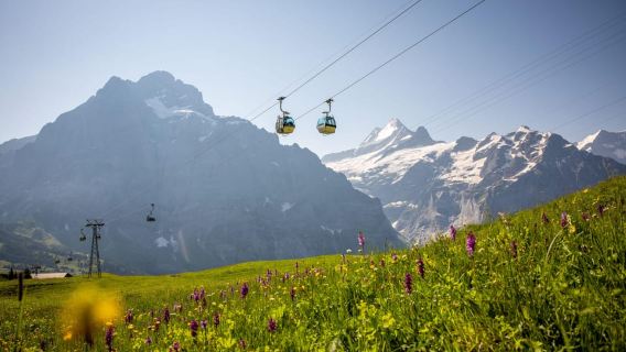 Zúrich: Jungfraujoch privado y emocionante aventura Velogemel