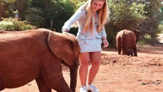 Nairobi: Taman Nasional Panti Asuhan Gajah dan Pusat Jerapah