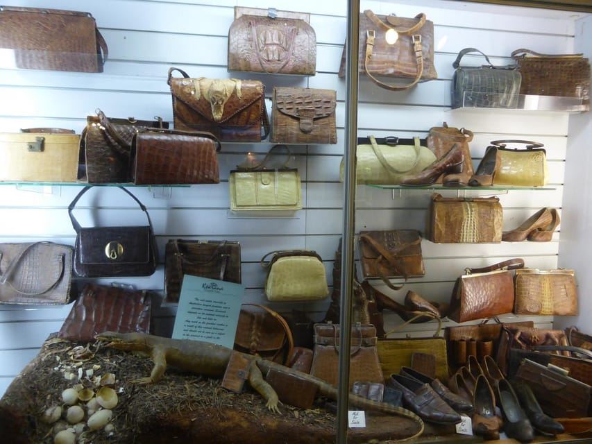 Rockhampton: Koorana Crocodile Farm Guided Tour